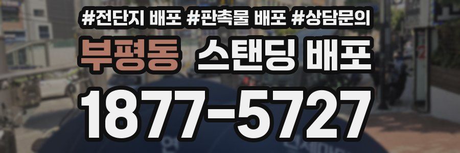 부평동 스탠딩 배포