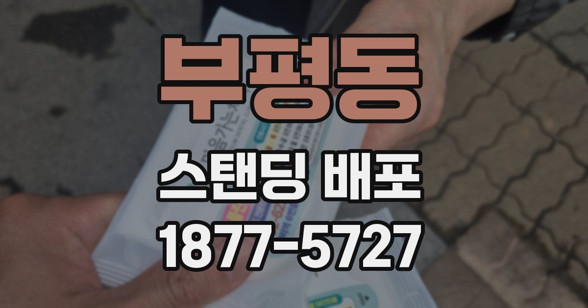 부평동 스탠딩 배포