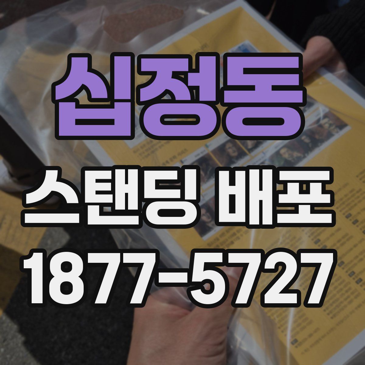 십정동 스탠딩 배포
