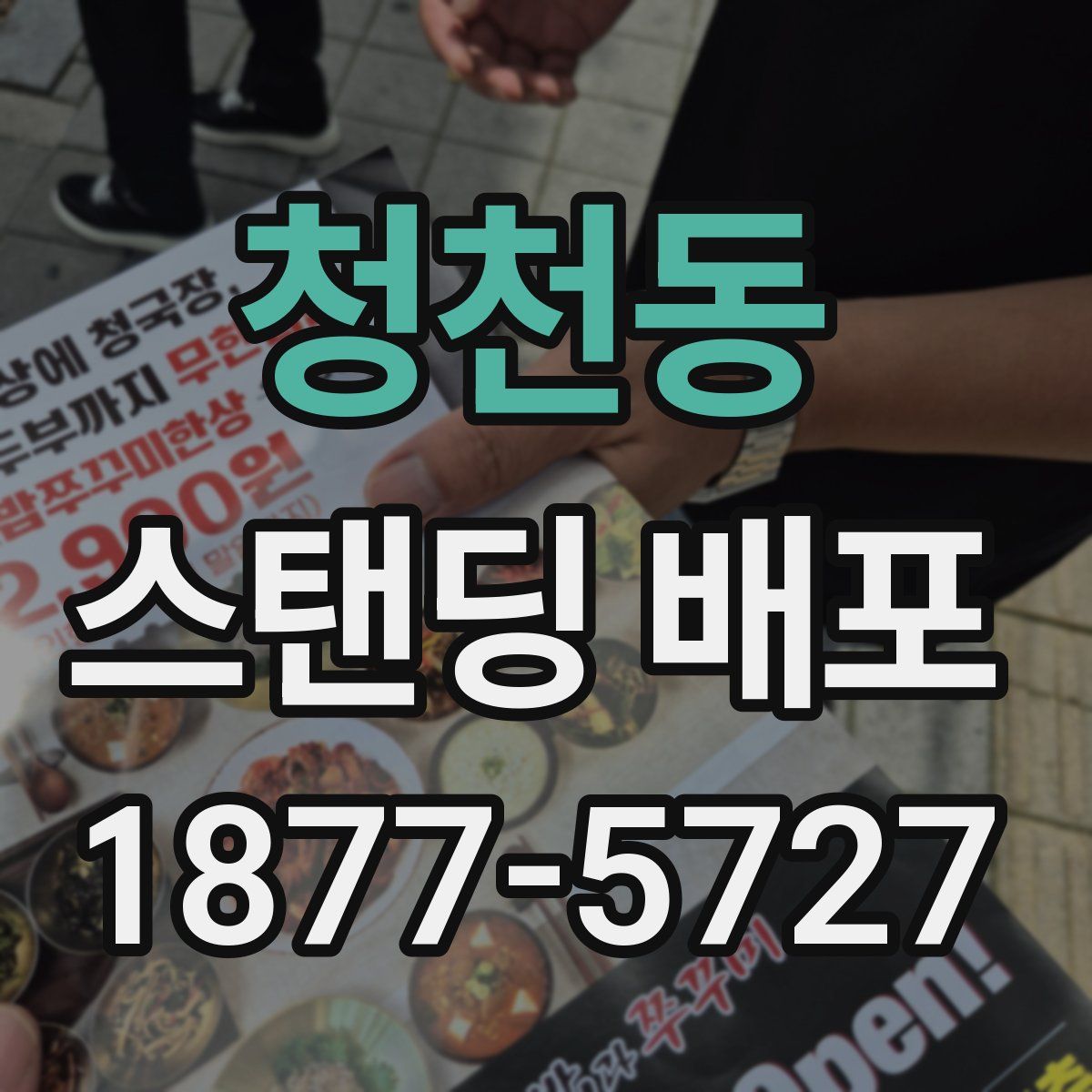 청천동 스탠딩 배포