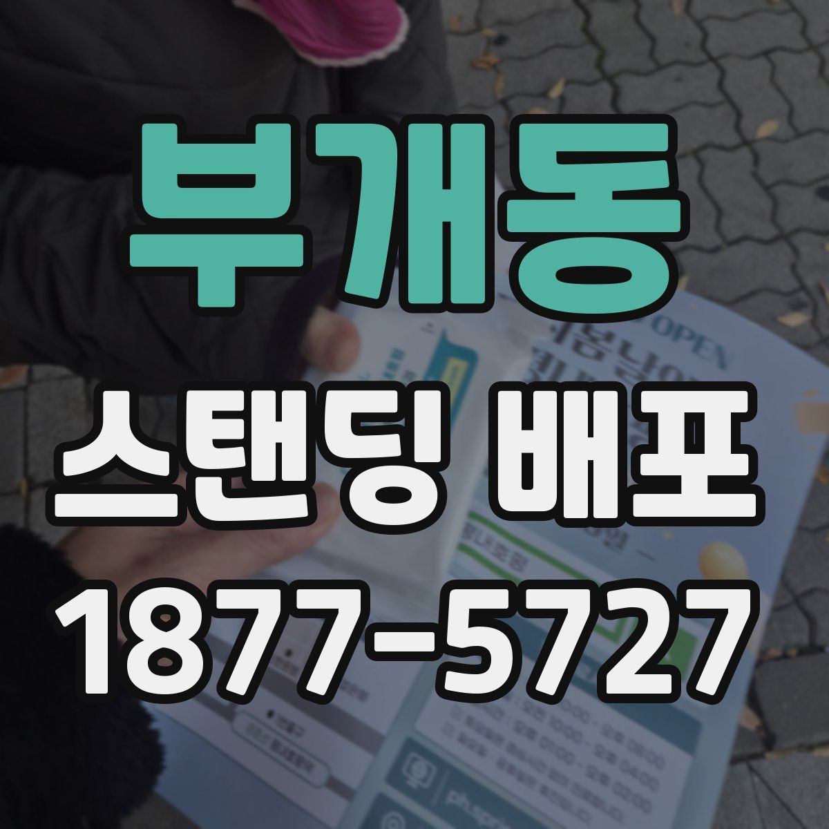 부개동 스탠딩 배포