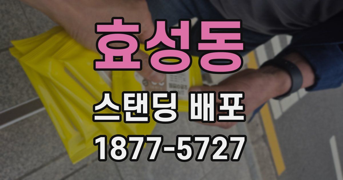 효성동 스탠딩 배포
