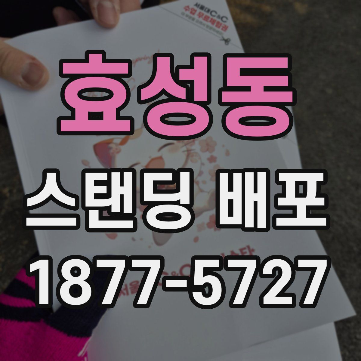 효성동 스탠딩 배포