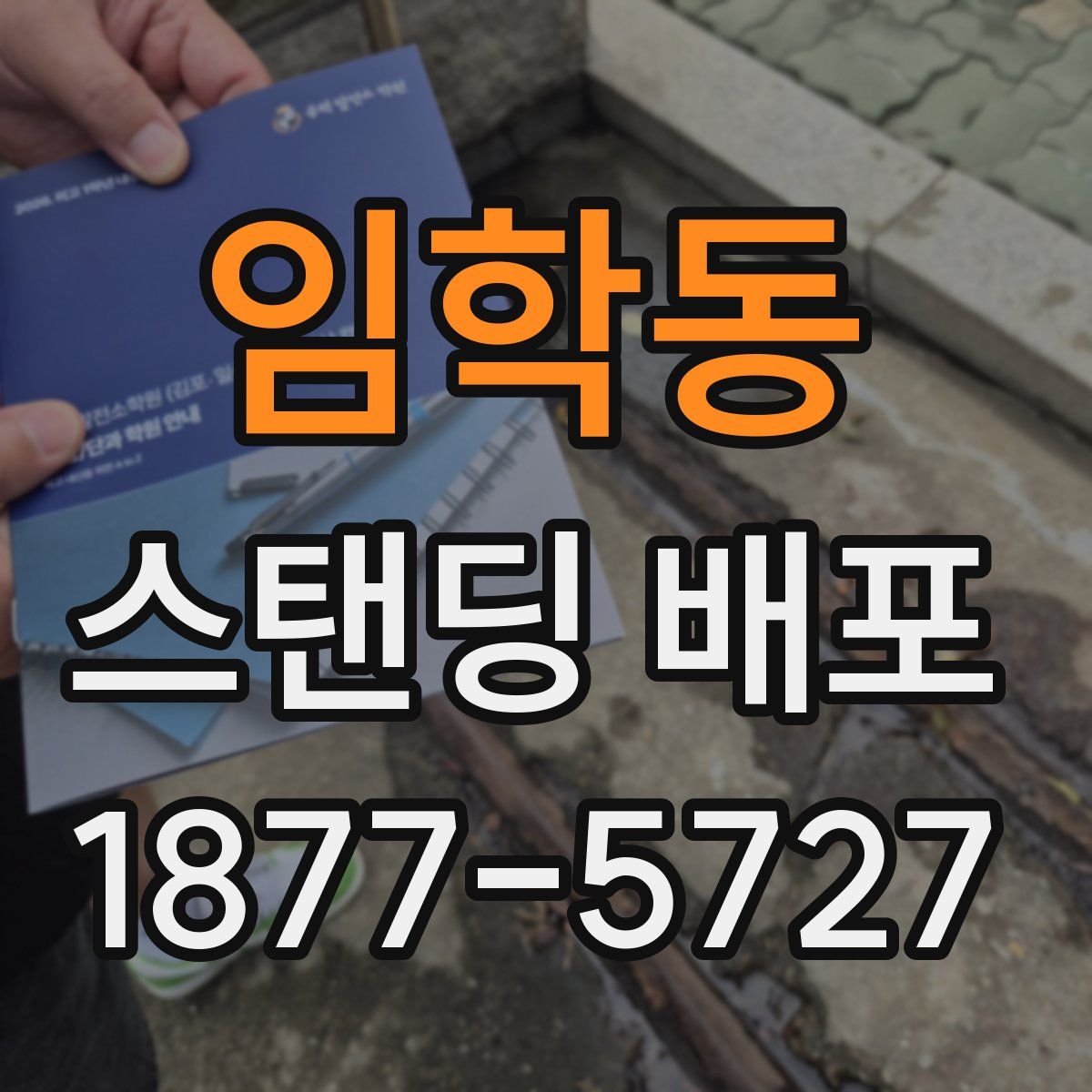 임학동 스탠딩 배포