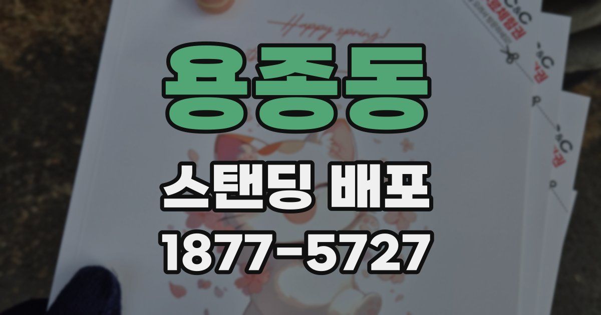 용종동 스탠딩 배포