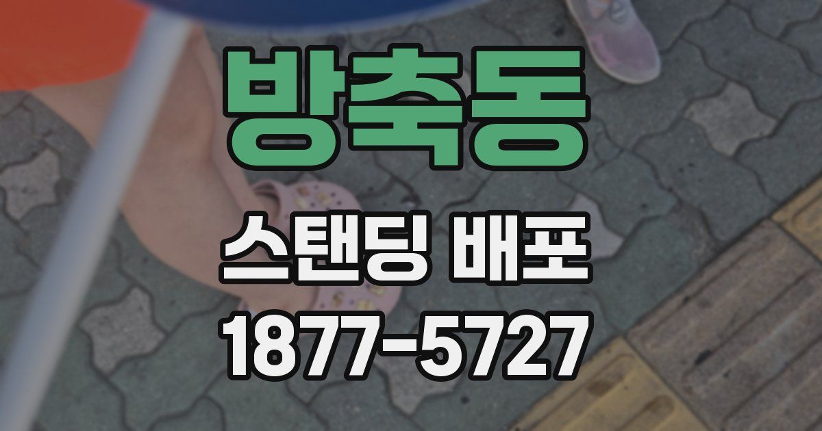 방축동 스탠딩 배포