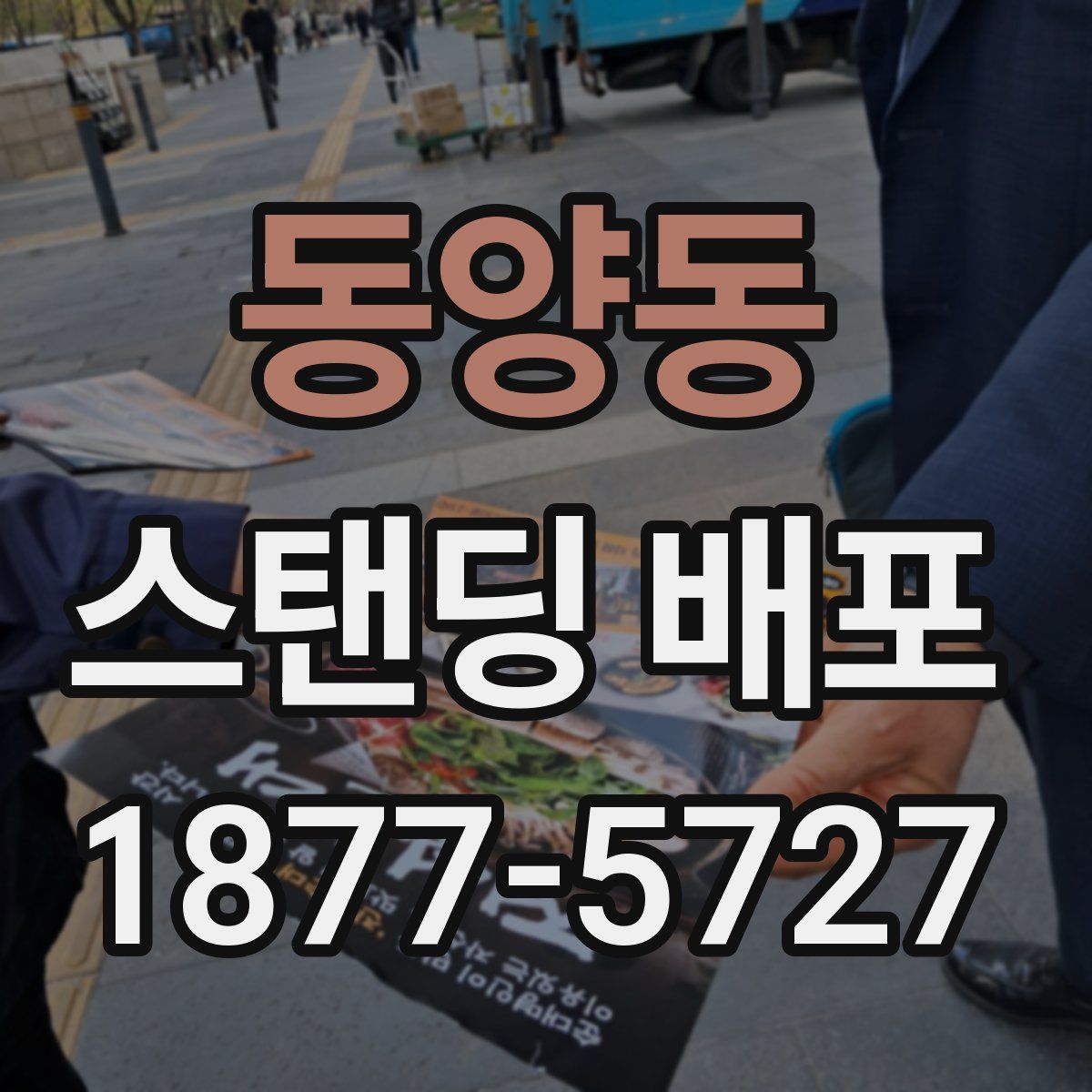 동양동 스탠딩 배포