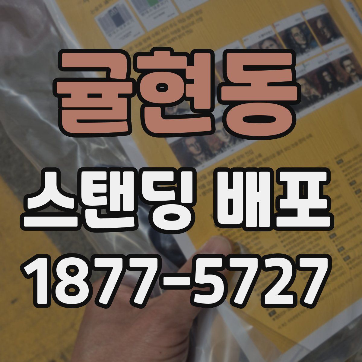 귤현동 스탠딩 배포