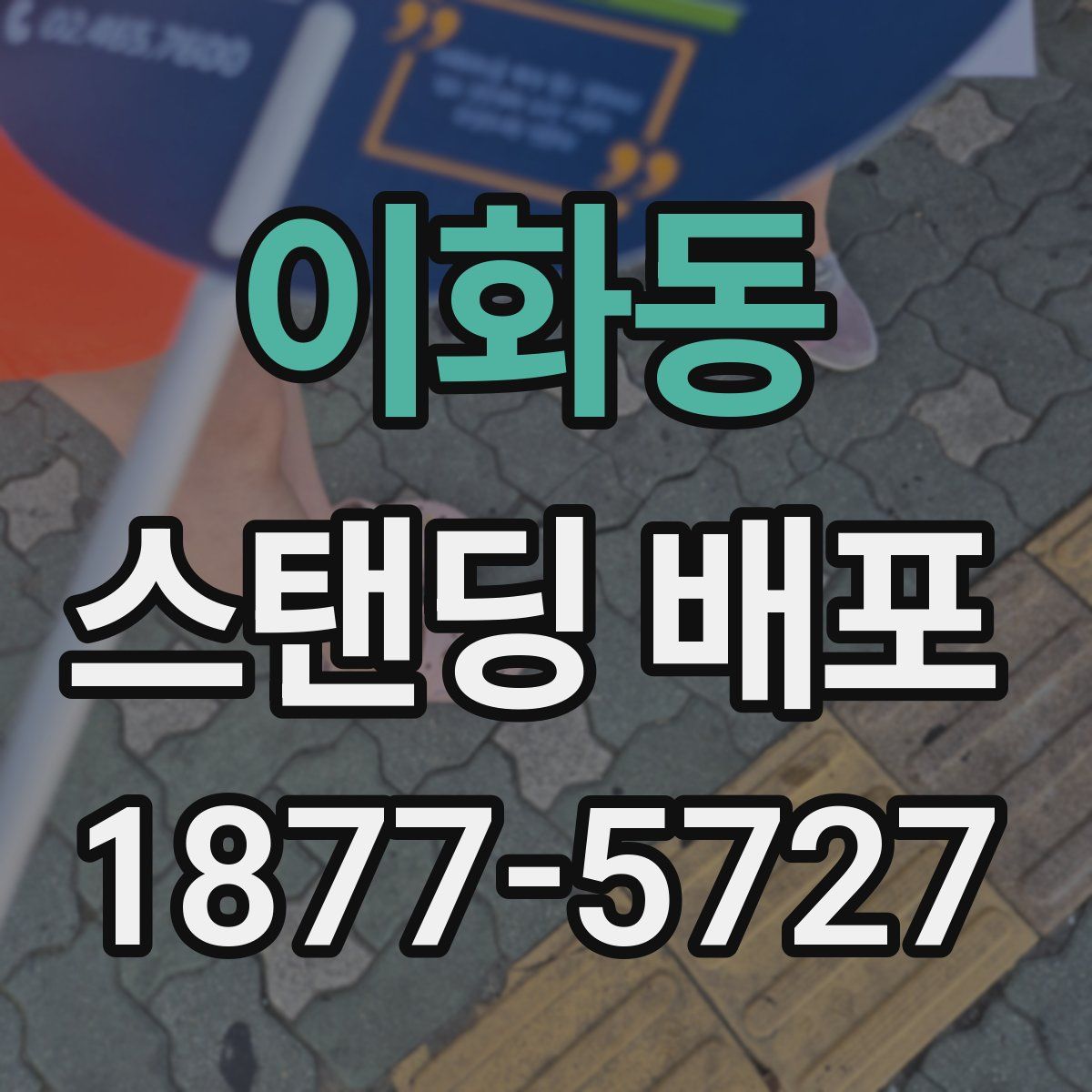 이화동 스탠딩 배포