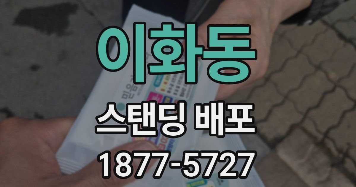 이화동 스탠딩 배포