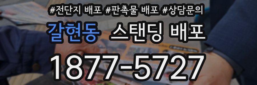 갈현동 스탠딩 배포