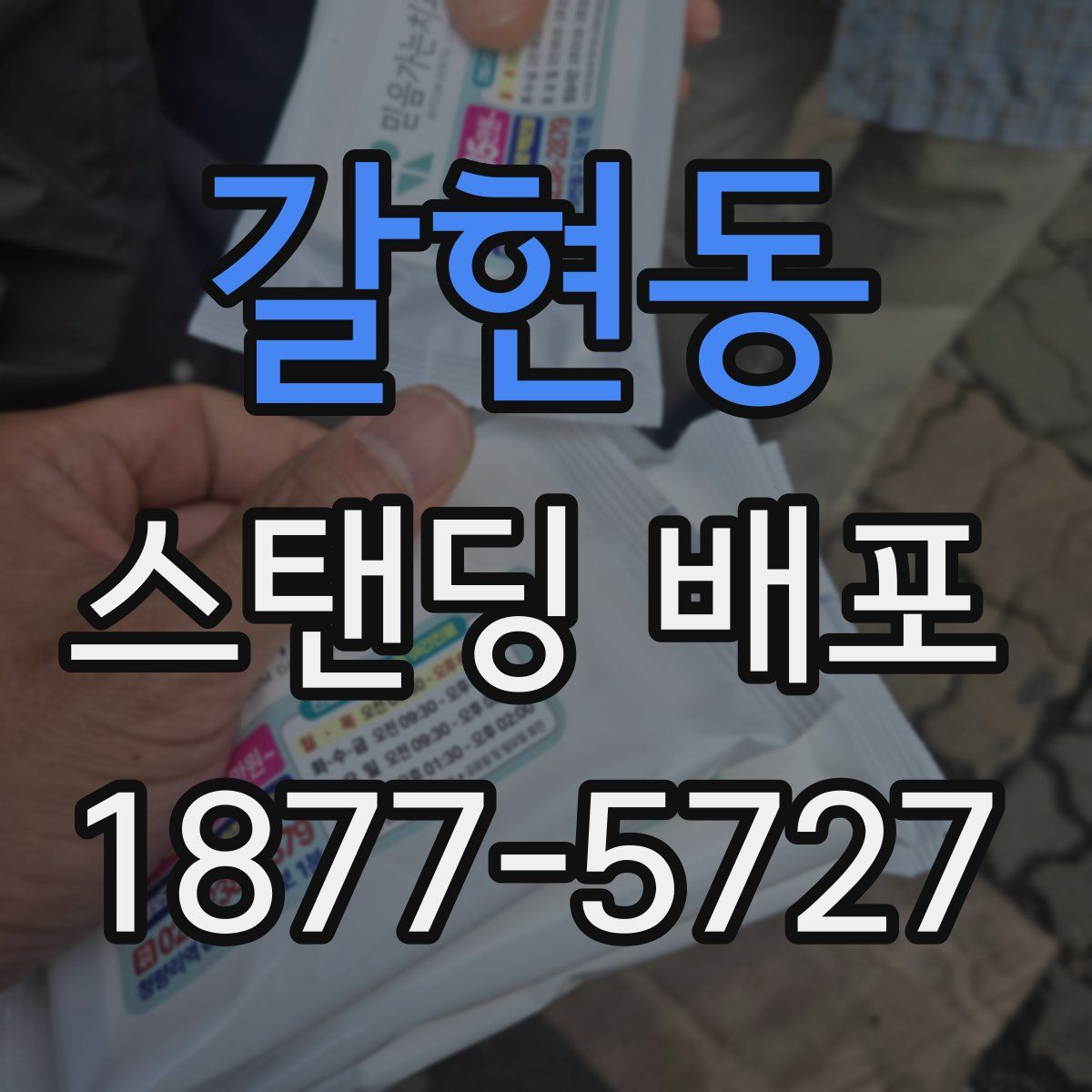 갈현동 스탠딩 배포