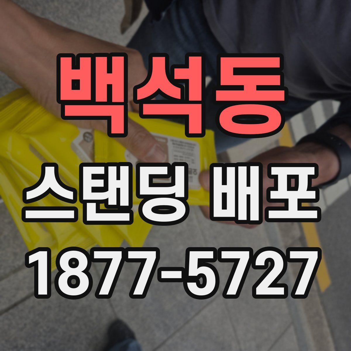 백석동 스탠딩 배포