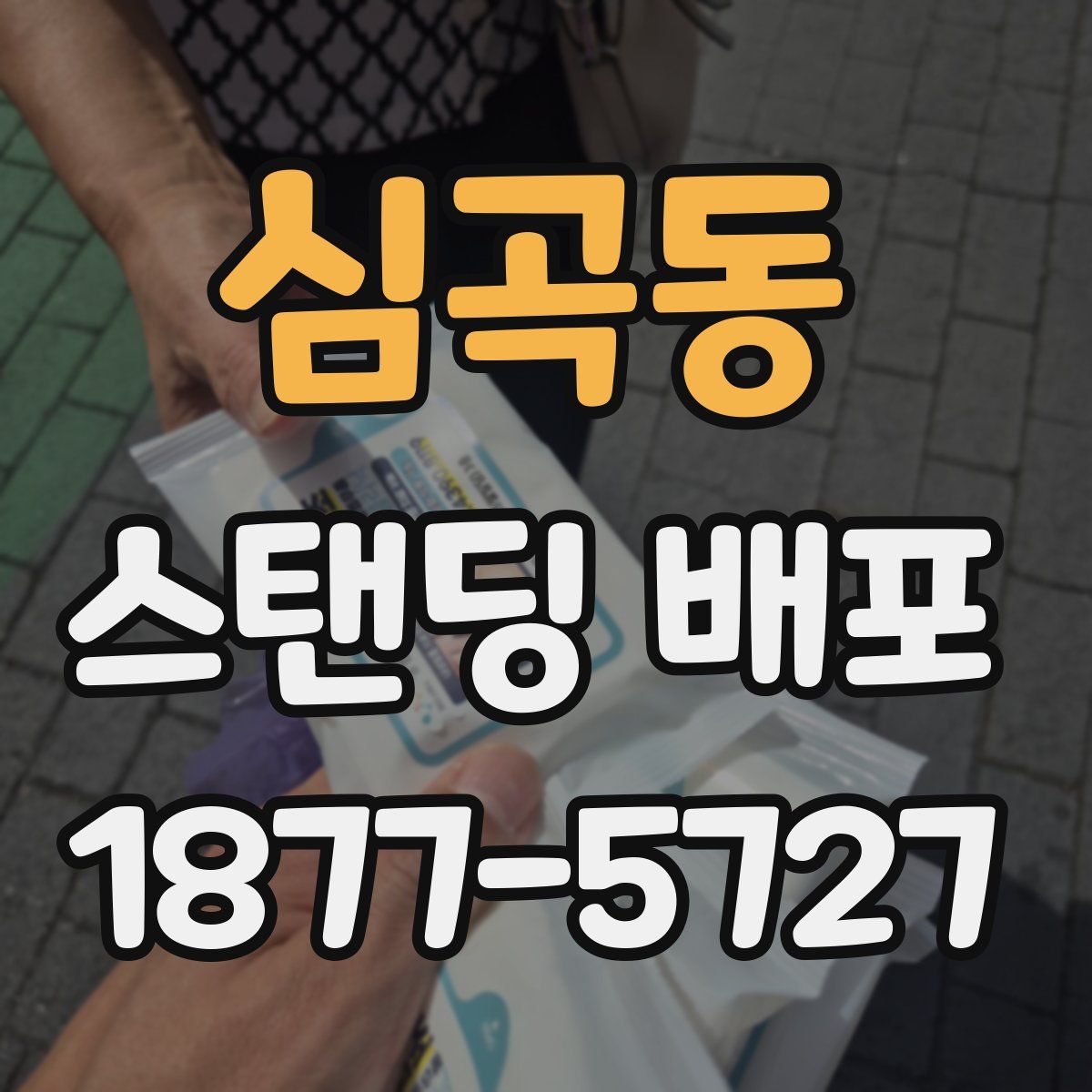 심곡동 스탠딩 배포