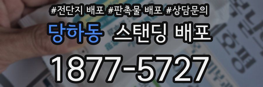 당하동 스탠딩 배포