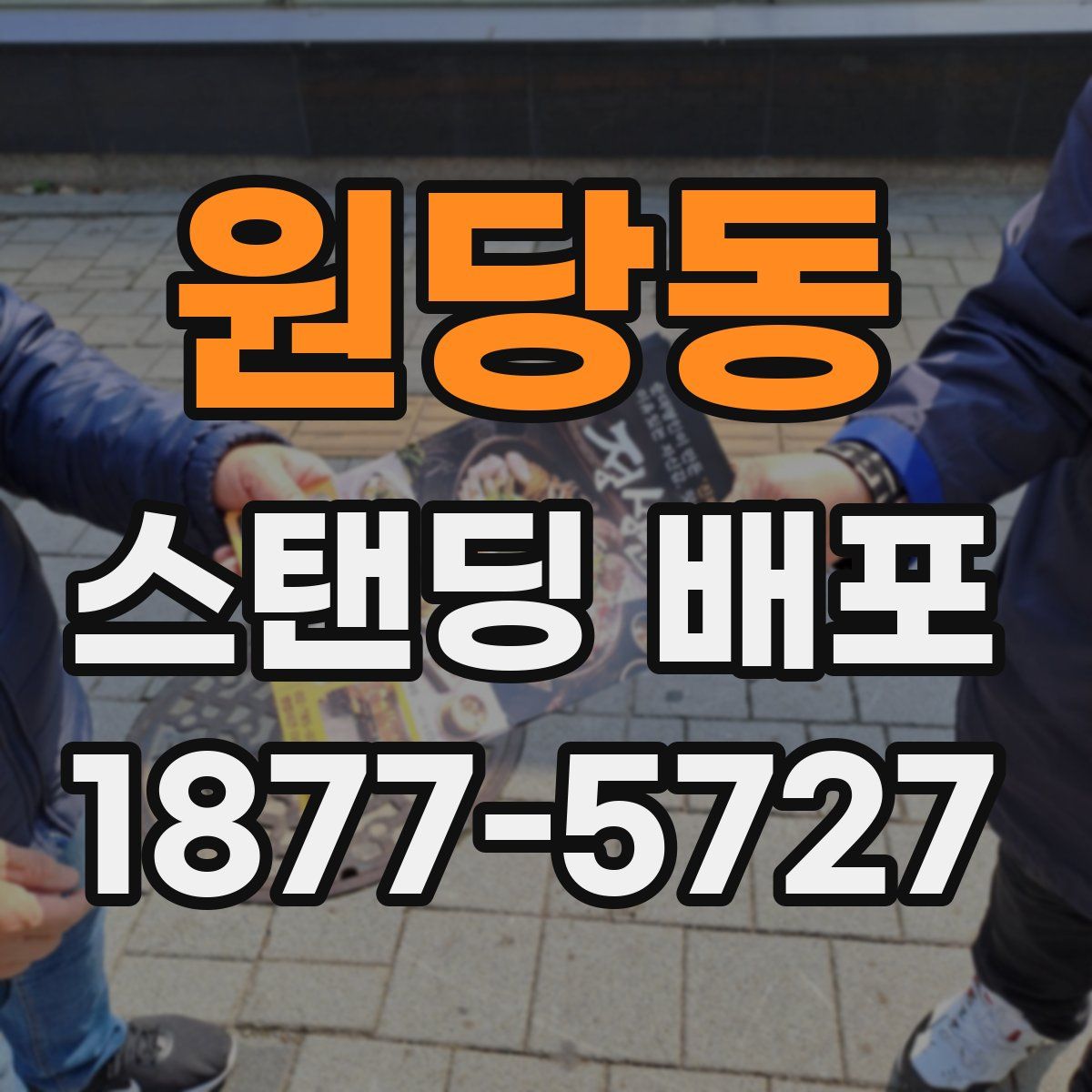 원당동 스탠딩 배포