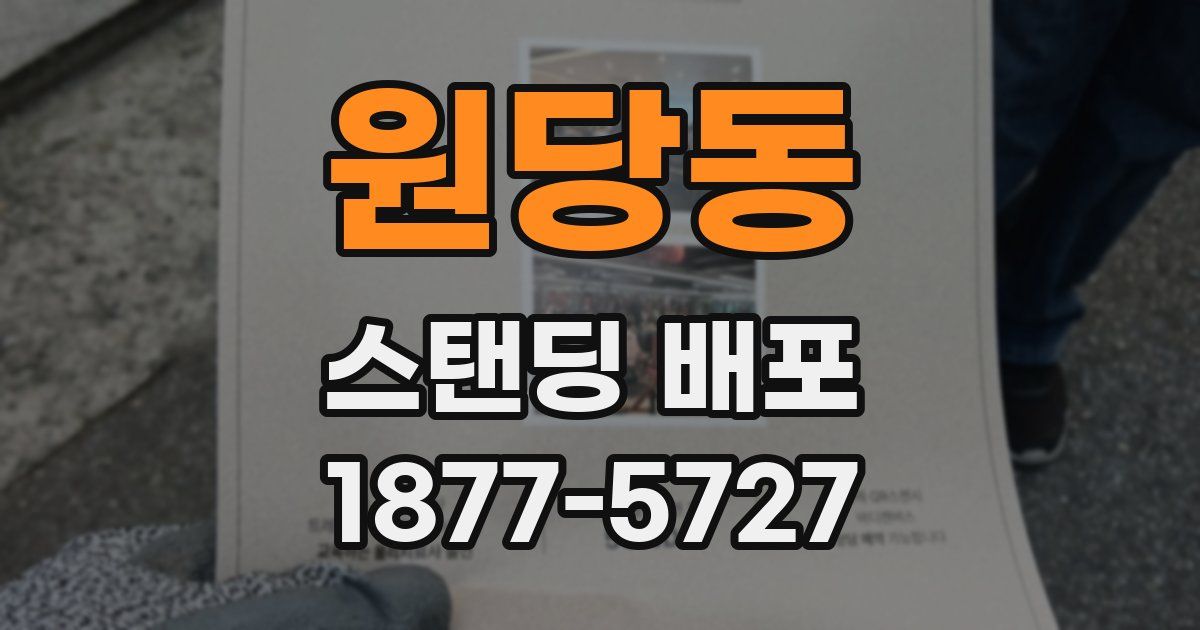 원당동 스탠딩 배포