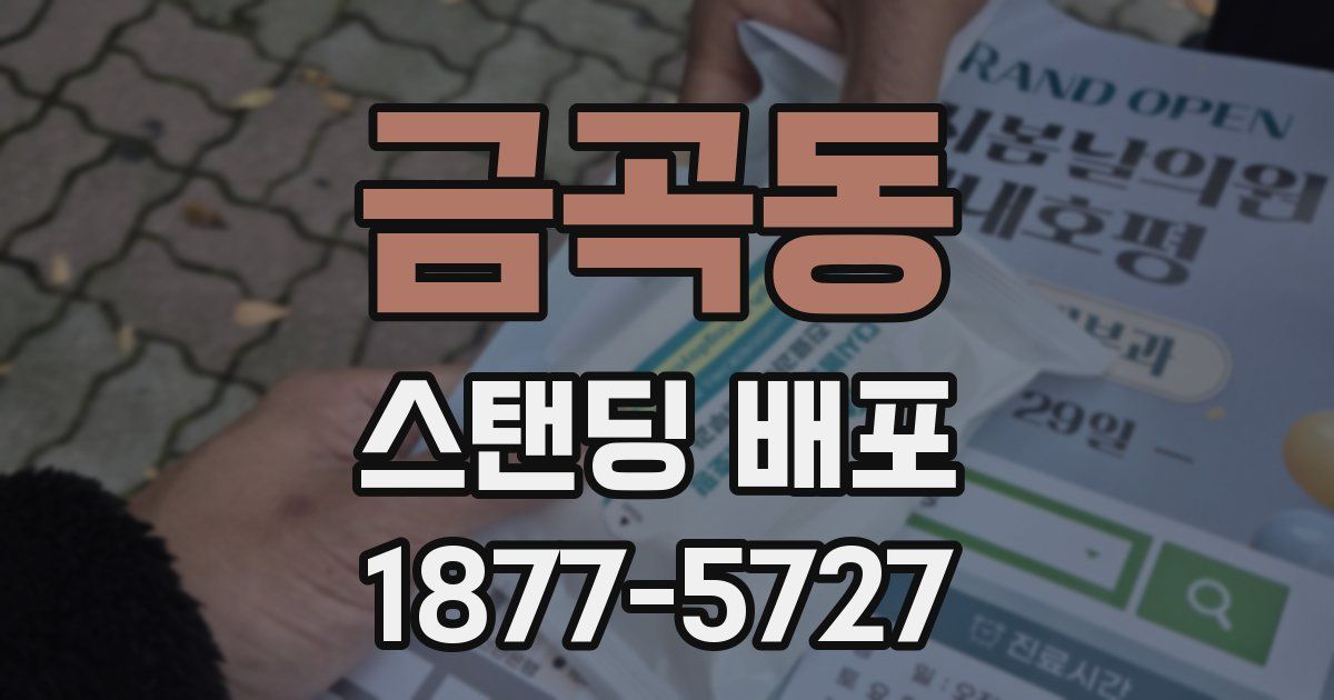 금곡동 스탠딩 배포