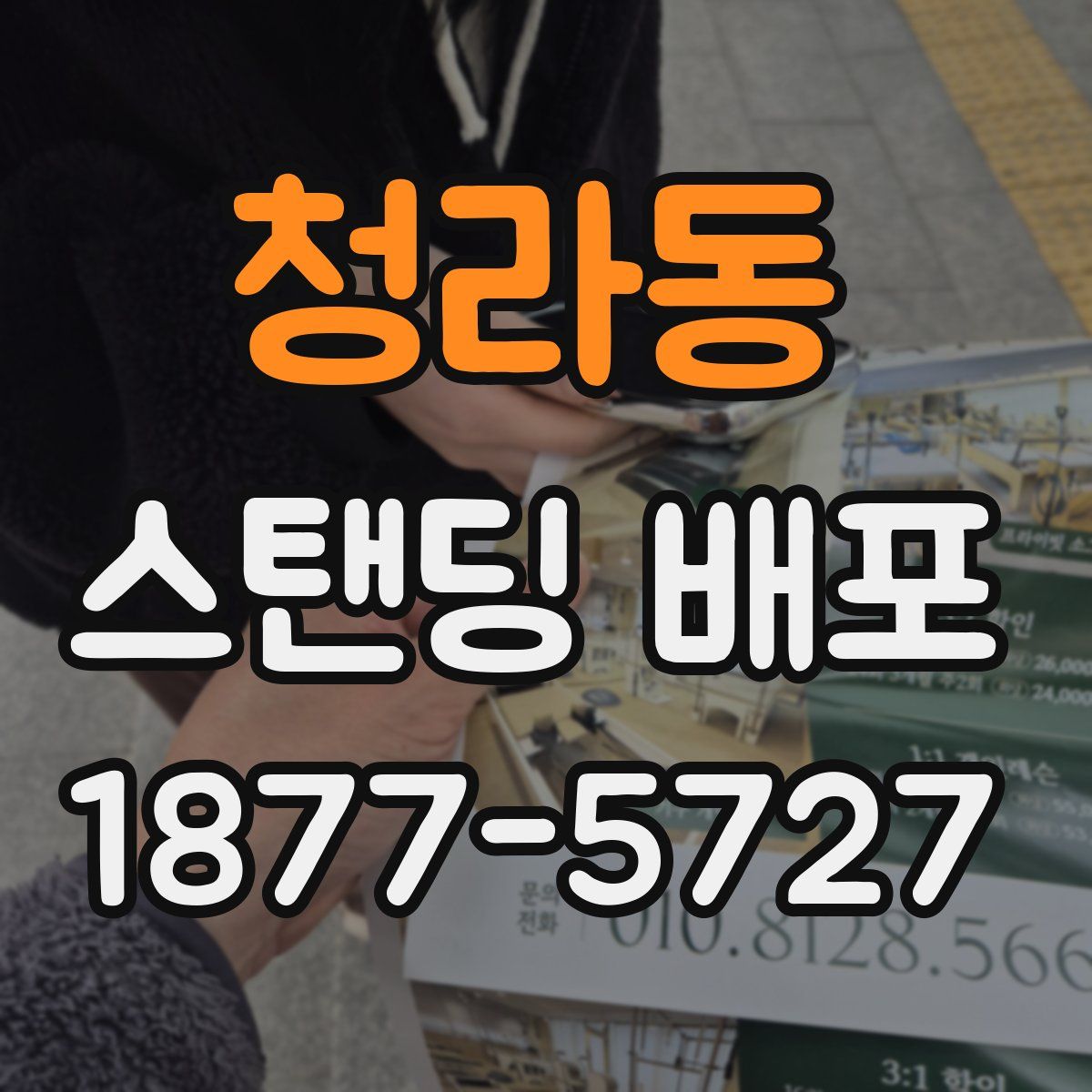 청라동 스탠딩 배포
