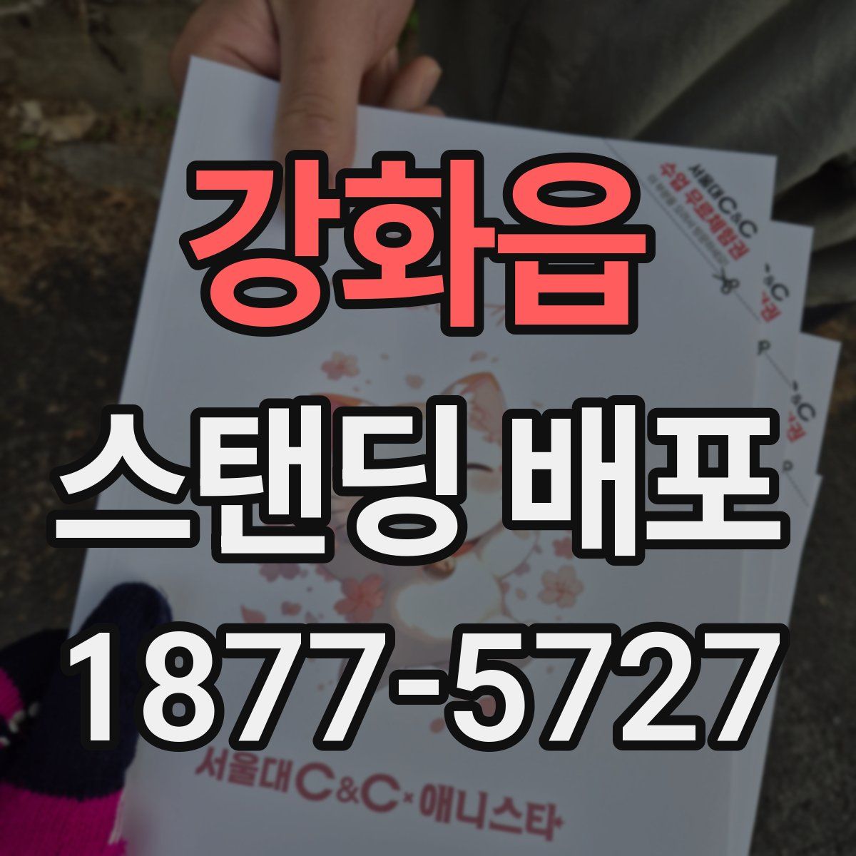 강화읍 스탠딩 배포