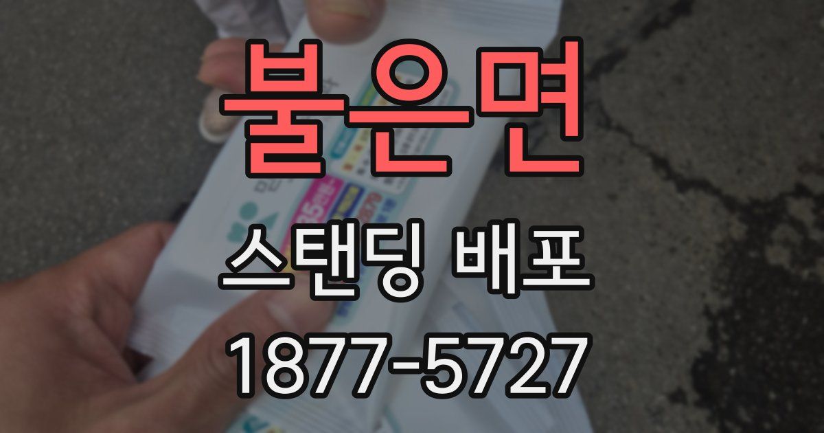 불은면 스탠딩 배포