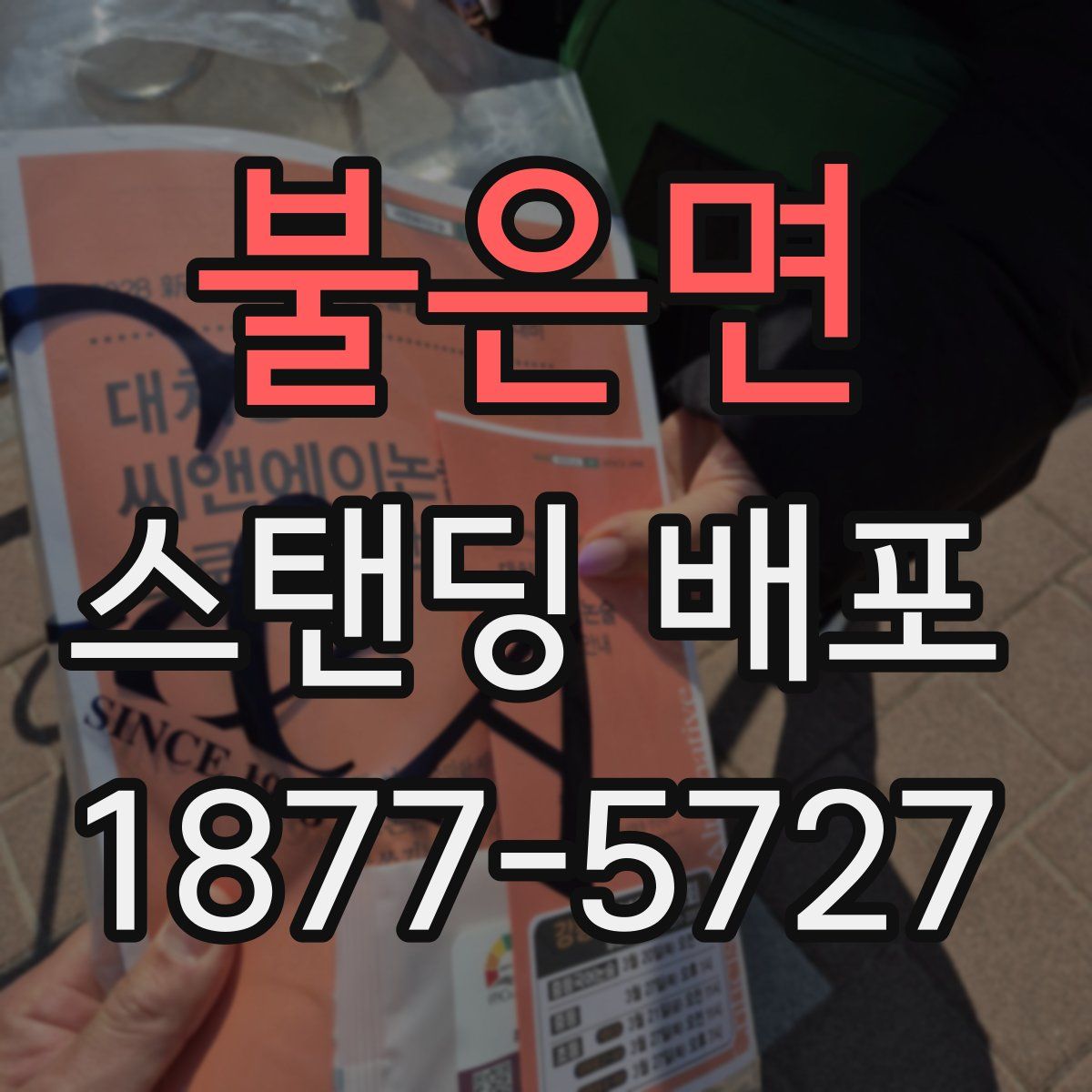 불은면 스탠딩 배포
