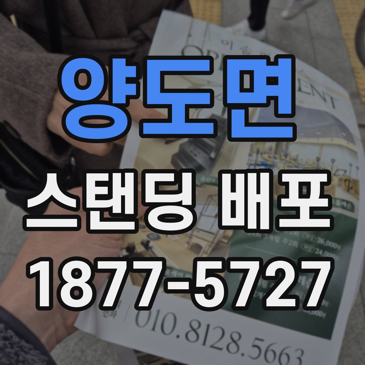 양도면 스탠딩 배포