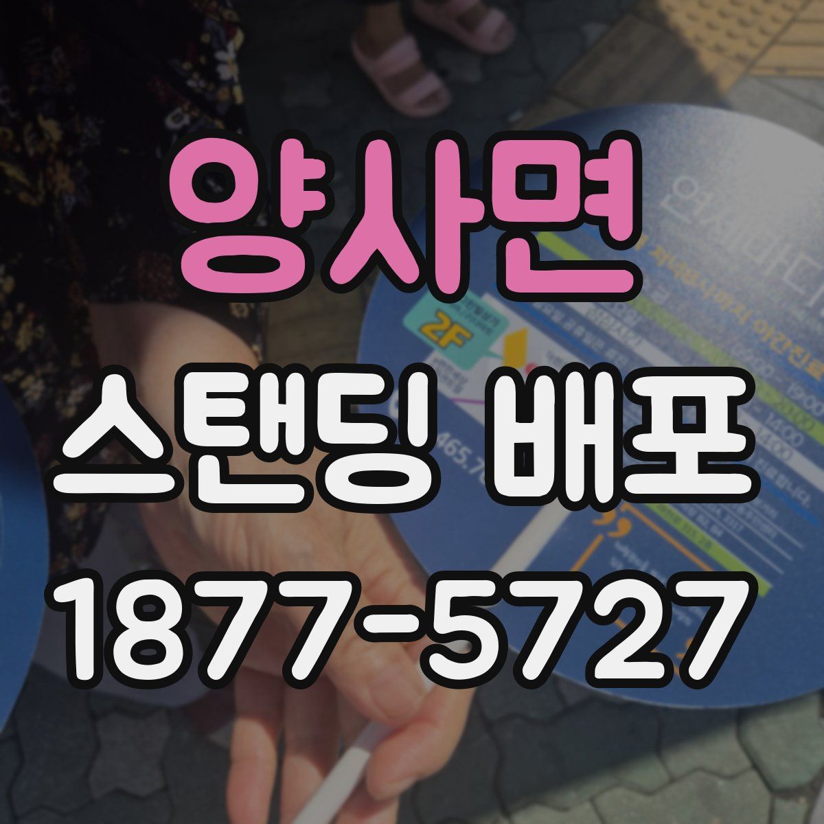 양사면 스탠딩 배포