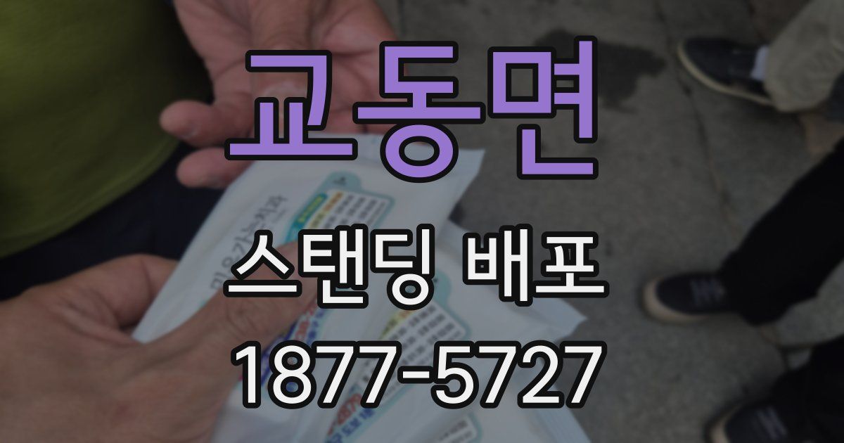 교동면 스탠딩 배포