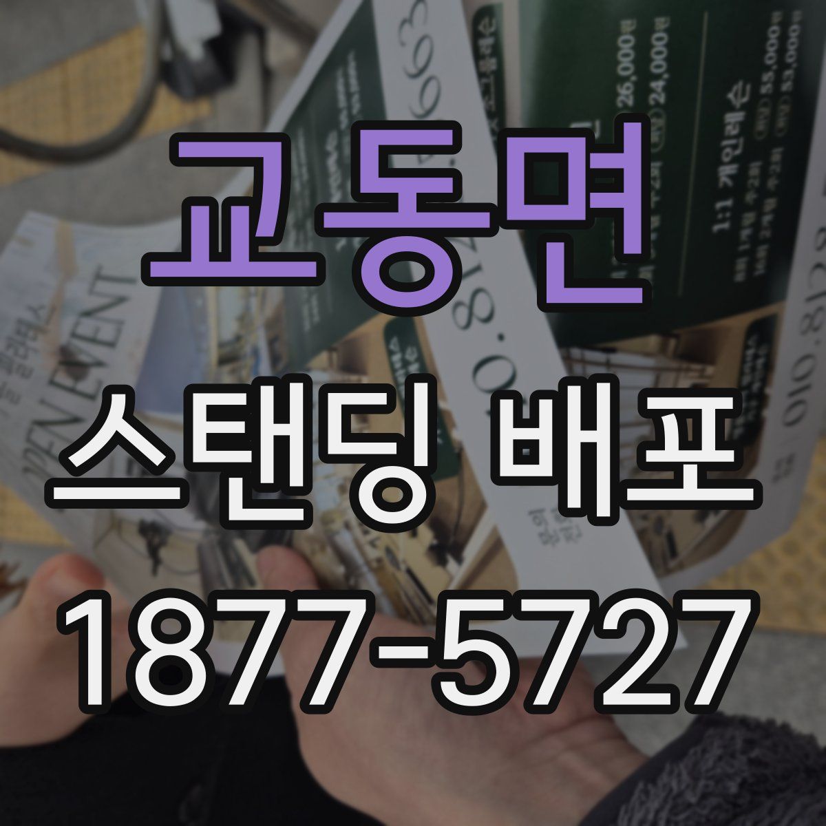 교동면 스탠딩 배포