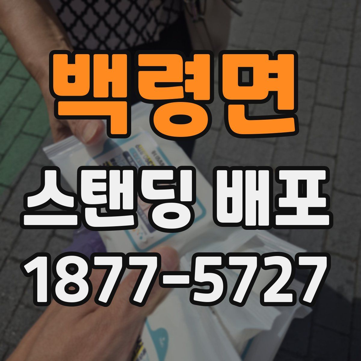 백령면 스탠딩 배포