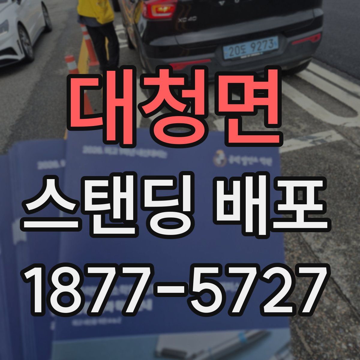 대청면 스탠딩 배포