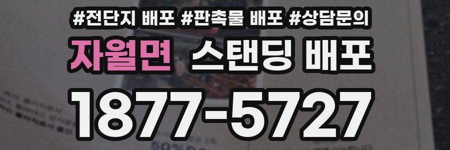 자월면 스탠딩 배포