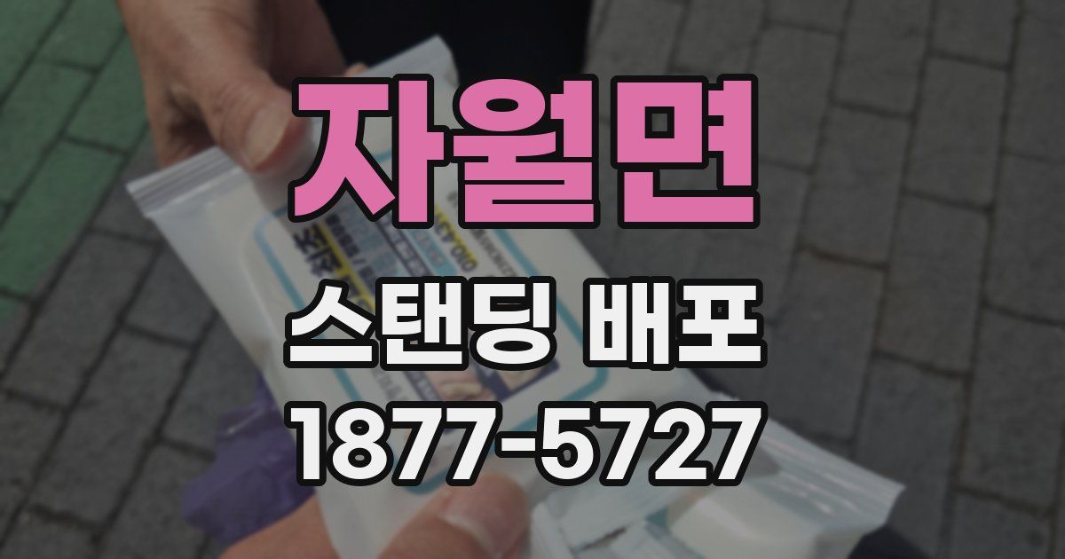 자월면 스탠딩 배포