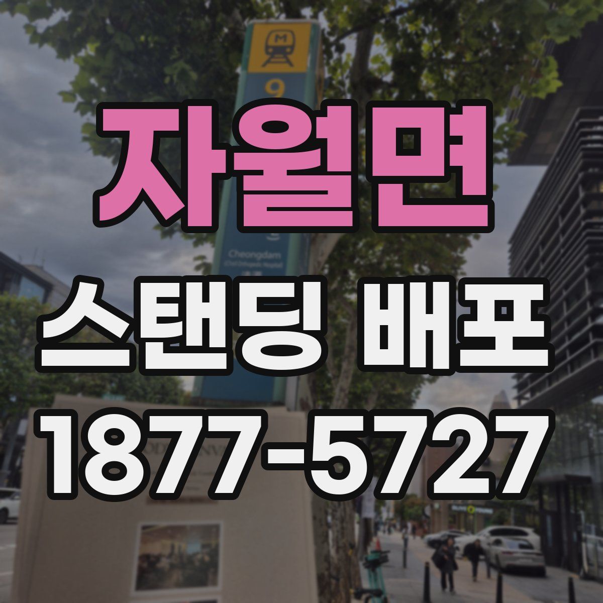 자월면 스탠딩 배포