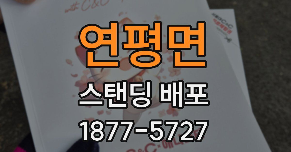 연평면 스탠딩 배포