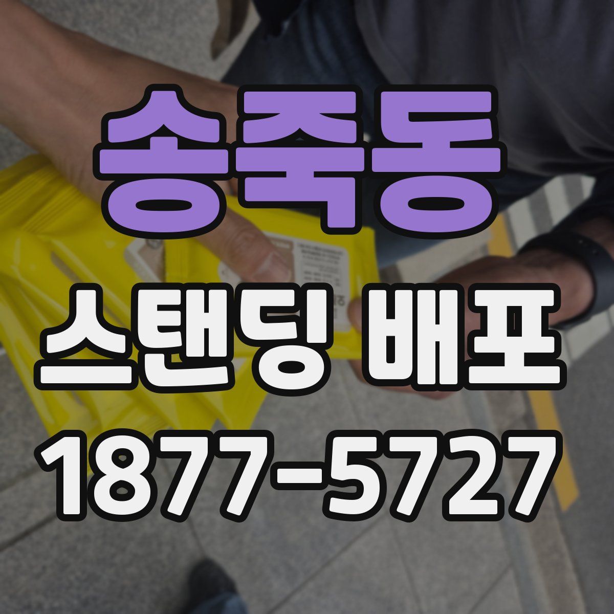 송죽동 스탠딩 배포