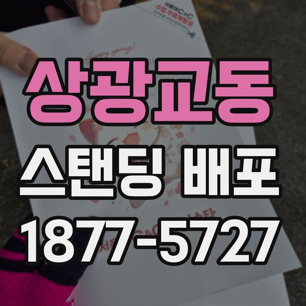 상광교동 스탠딩 배포