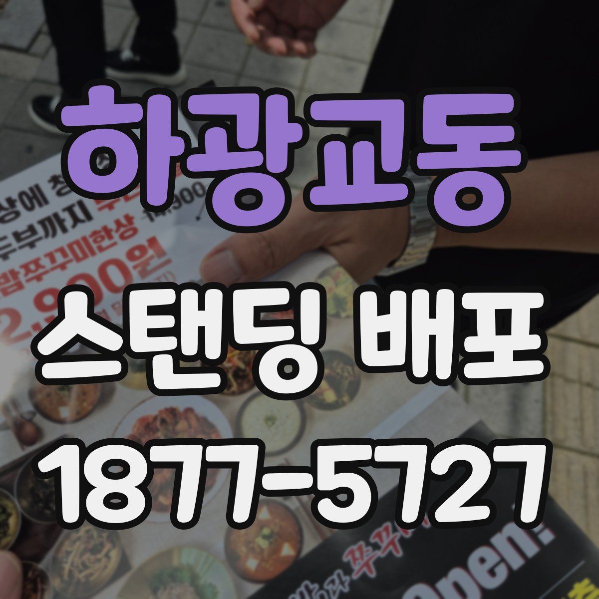 하광교동 스탠딩 배포