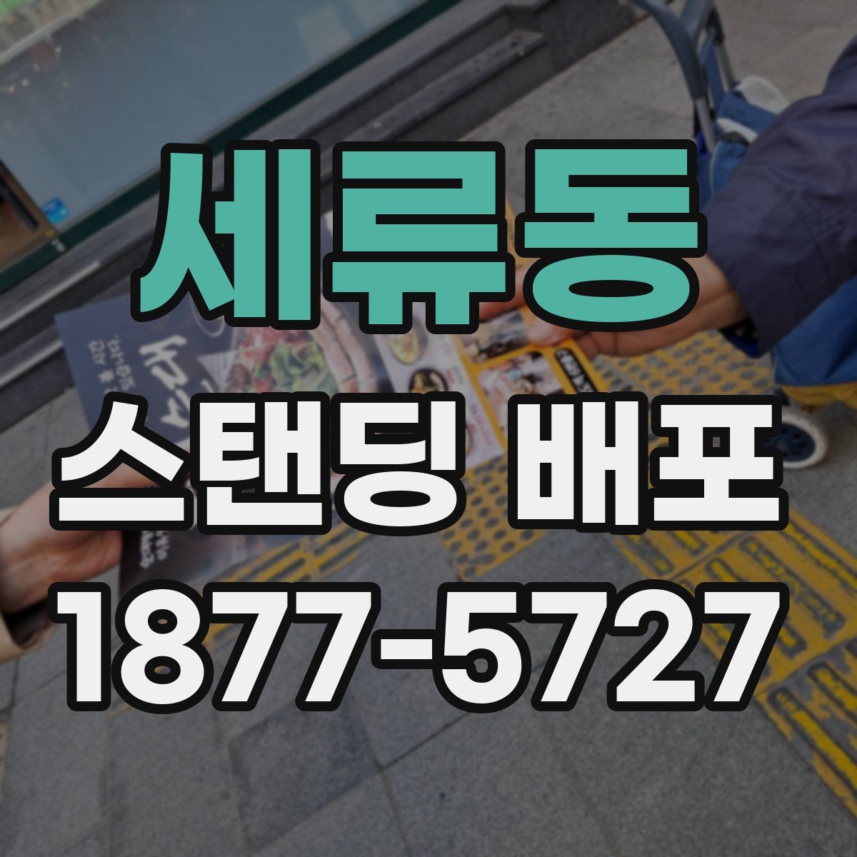 세류동 스탠딩 배포