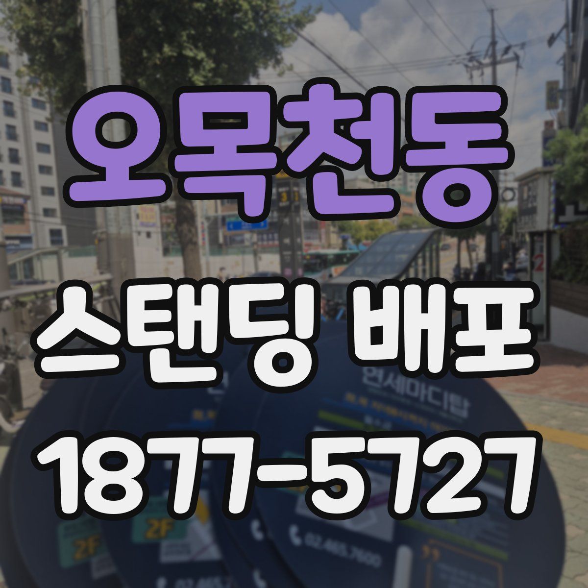 오목천동 스탠딩 배포