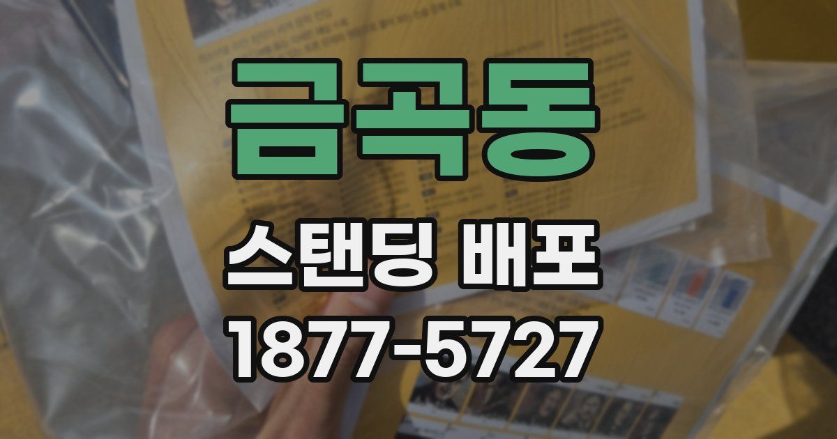 금곡동 스탠딩 배포