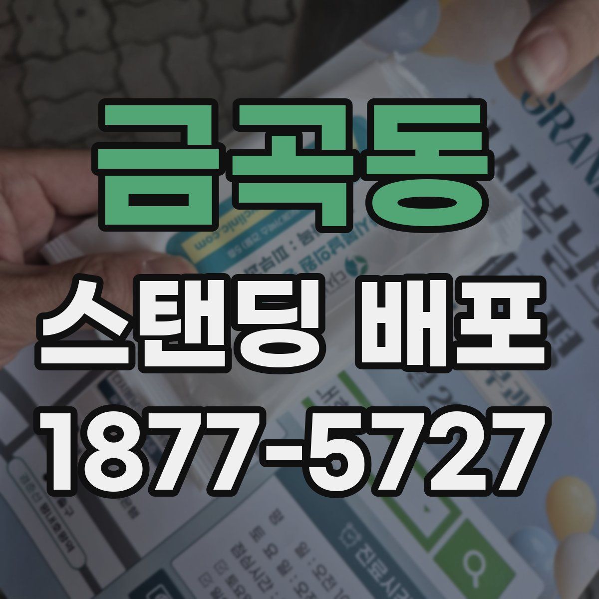 금곡동 스탠딩 배포