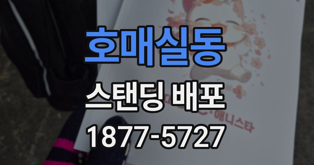 호매실동 스탠딩 배포