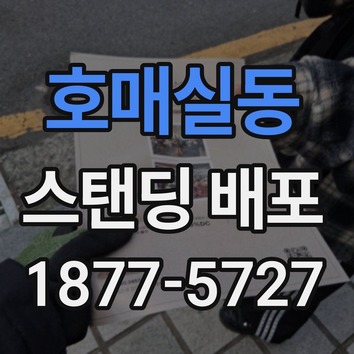 호매실동 스탠딩 배포