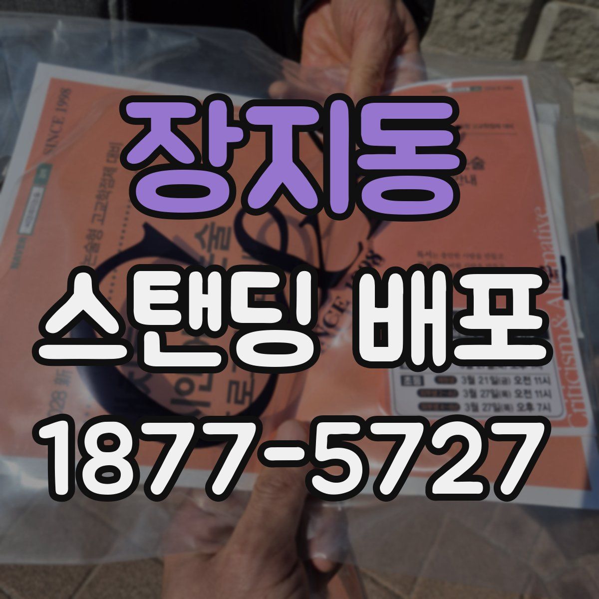 장지동 스탠딩 배포