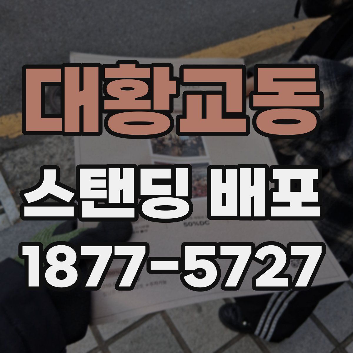 대황교동 스탠딩 배포