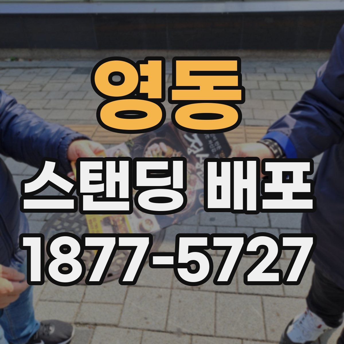영동 스탠딩 배포