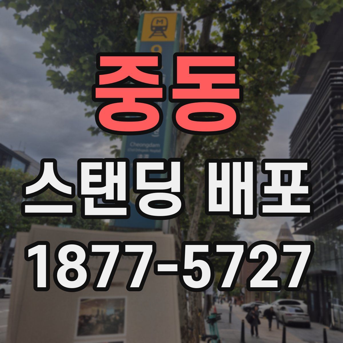 중동 스탠딩 배포