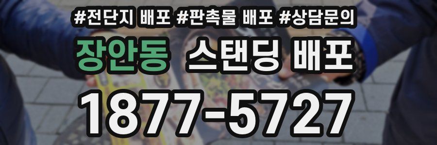 장안동 스탠딩 배포